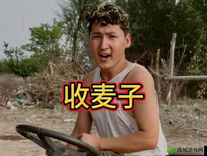 我的朋友她的麦子 DJ：一场音乐之旅