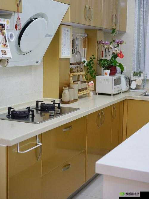 厨房一路干到卧室最简单处理方法：实用技巧分享