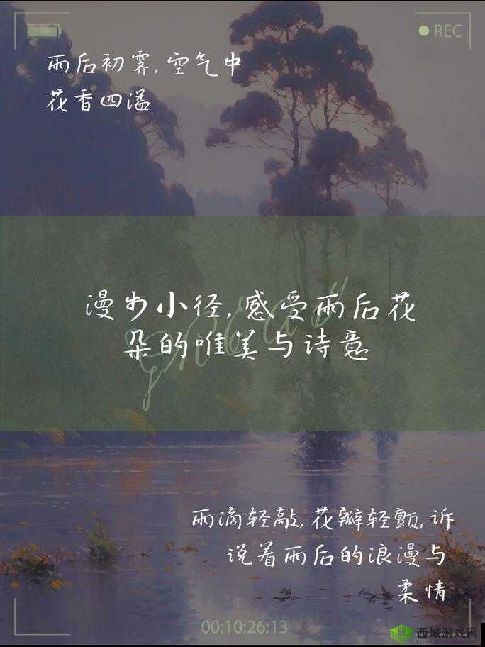 头埋在我花丛里：一段浪漫的邂逅