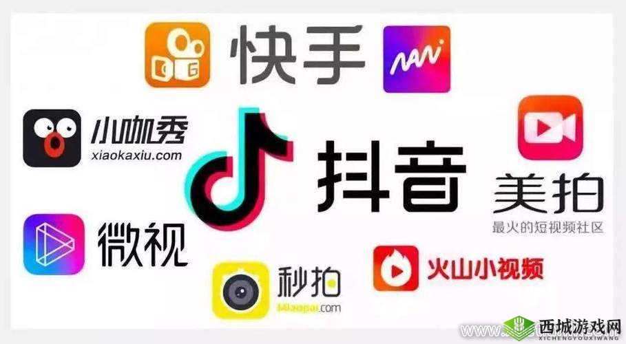 成品短视频 app 下载推荐网站：热门短视频一网打尽