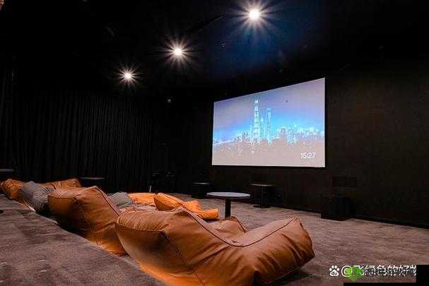 私人 IMAX 家庭影院：极致视听盛宴之所