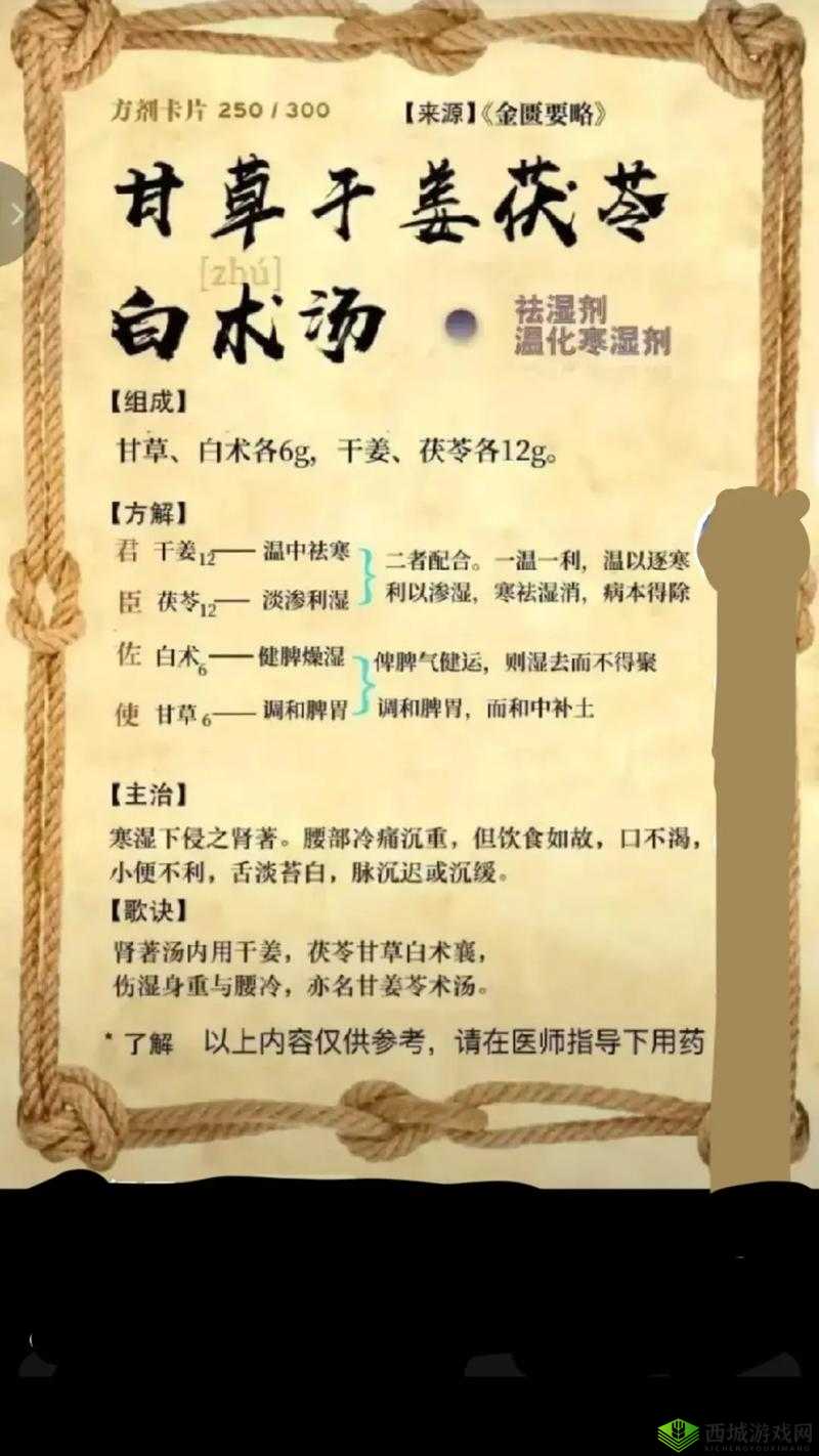 中医老王与小雨携手进行祛毒的独特探索