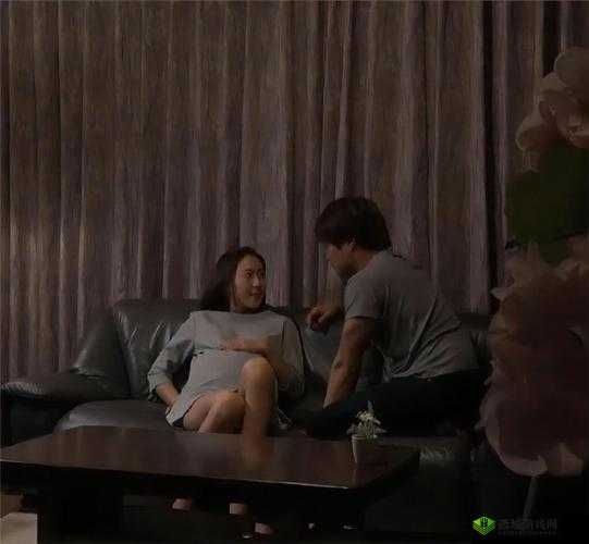 豐滿岳妇DvD完整版高清下载，经典家庭剧情片回顾与深度解析
