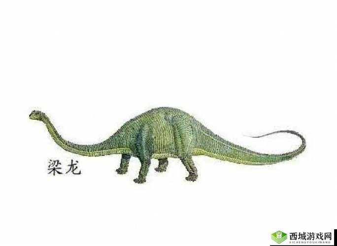 探秘化石博物馆，我的梁龙展品究竟有何独特属性与魅力？